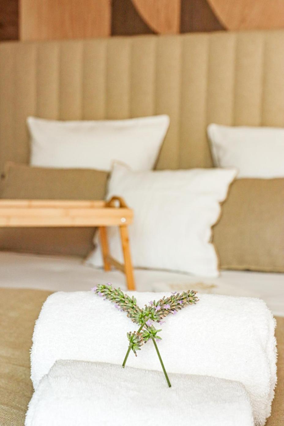 Les Gites De Laure - L'Eden Romantique, Chambres Hotes, Spa Prive, Couloir De Nage, Adults Only Malves-en-Minervois Buitenkant foto